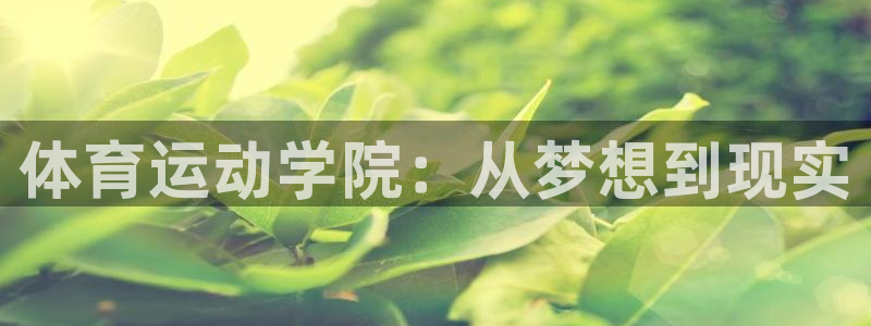 杏悦2平台注册开户