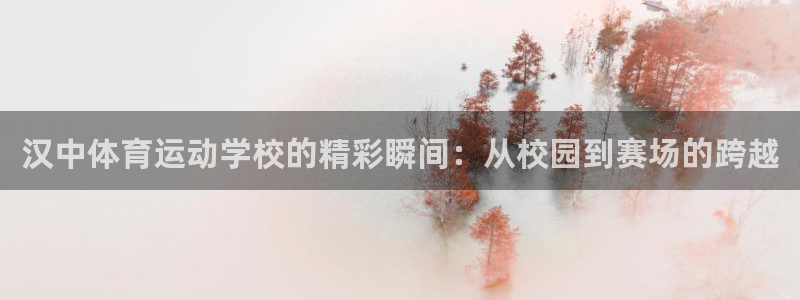 杏悦平台开户链接