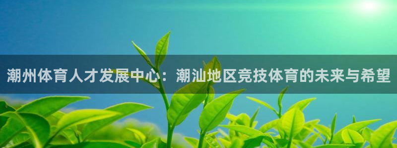 杏悦体育游戏