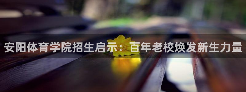 杏悦体育4