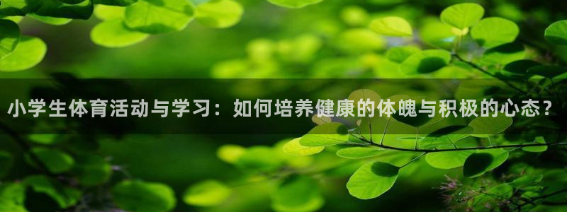 杏悦f凯捷注册
