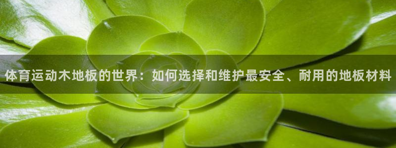 杏悦平台如何