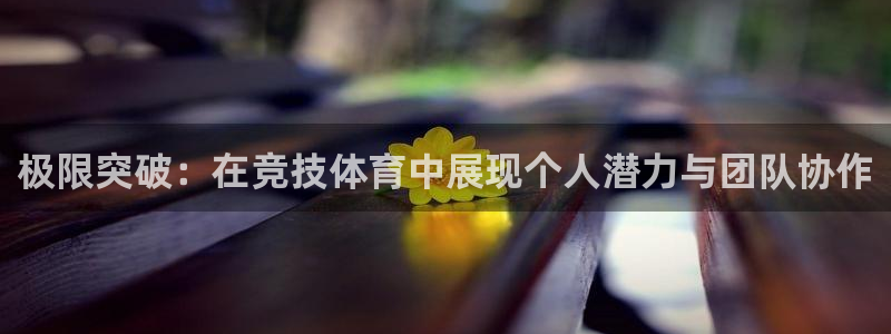 杏悦4平台注册