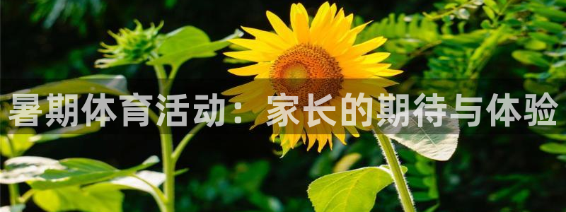 杏悦4官网