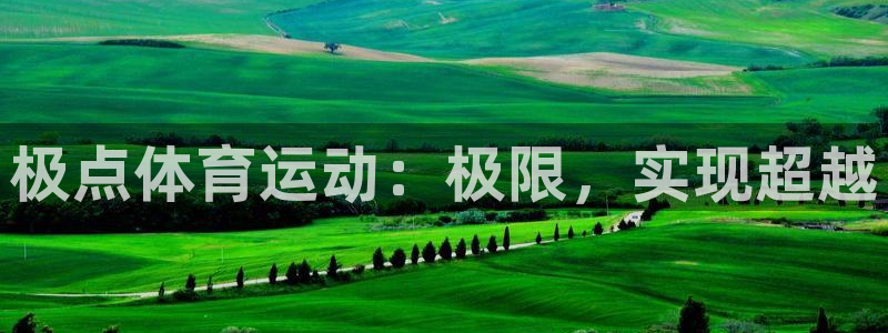 杏悦2平台注册入口