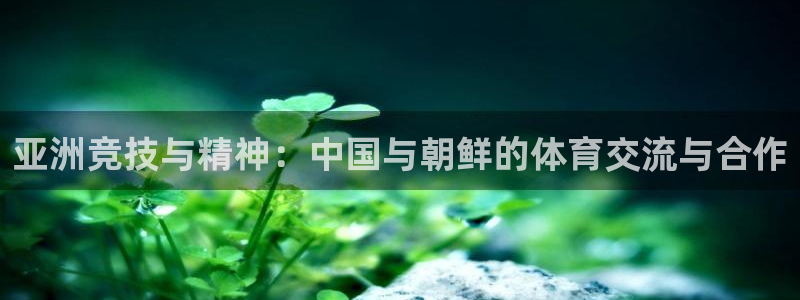 杏悦体育2官网入口