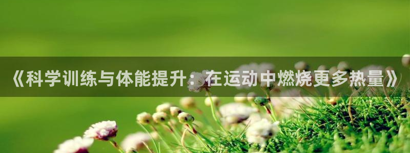 杏悦平台注册入口
