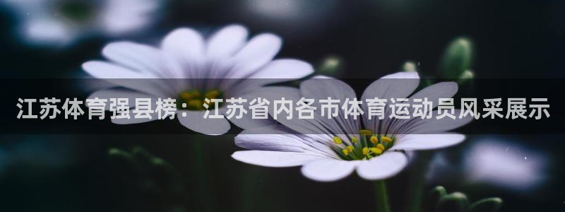 杏悦体育代理申请流程