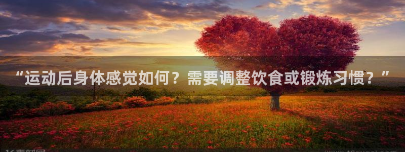 杏悦平台注册