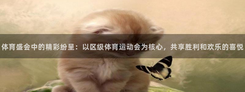 杏悦集团股票