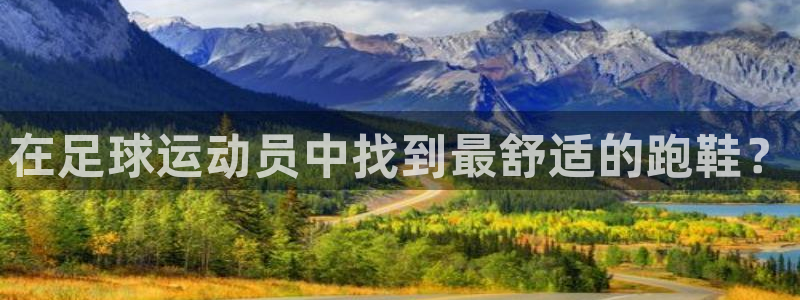 杏悦体育用品