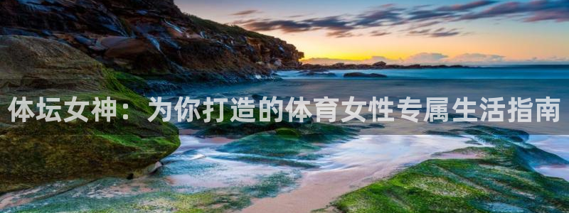 杏悦