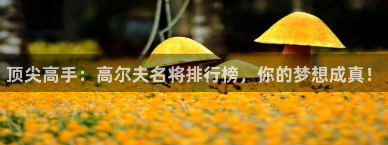 杏悦2平台注册
