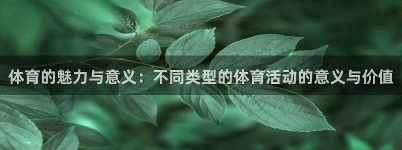 杏悦3登陆