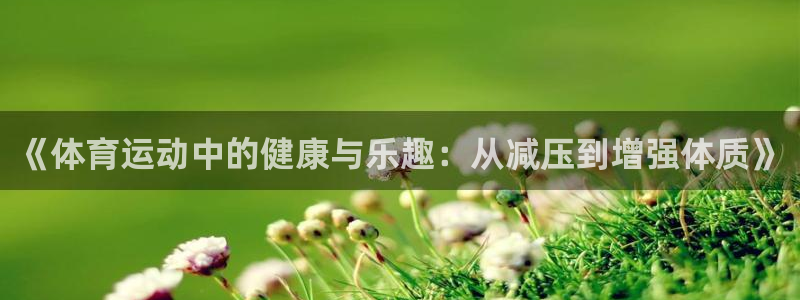 杏悦体育凯捷平台招商