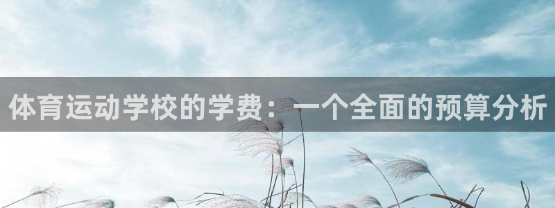 杏悦vk