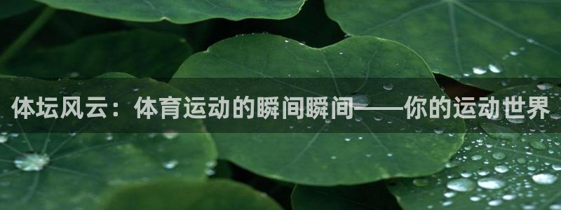 杏悦