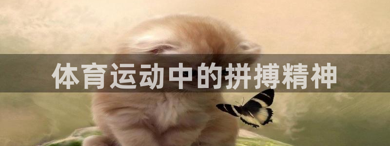 杏悦注册